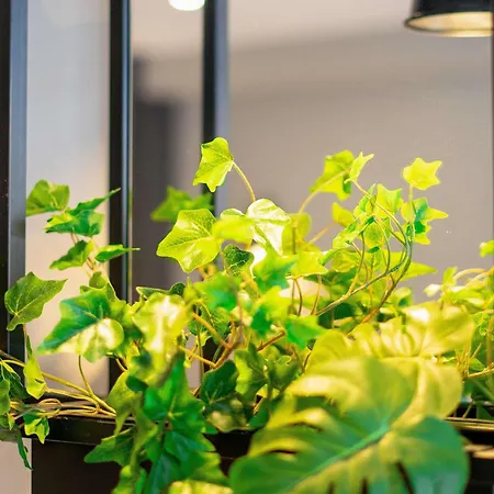 Ibis Centre Отель