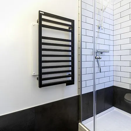 Hotel Ibis Centre 3*