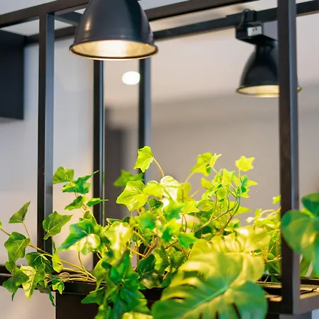 Hotel Ibis Centre 3*