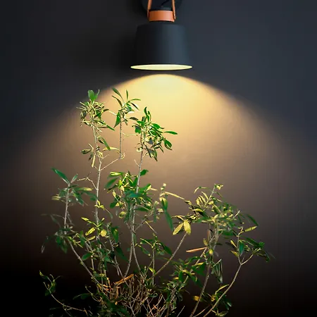 Hotel Ibis Centre 3*