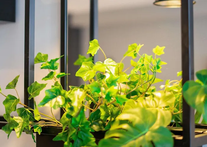 Ibis Centre מלון