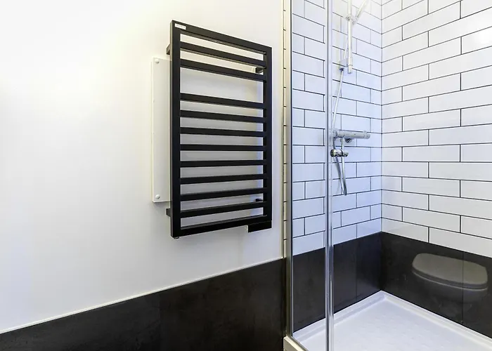 Отель Ibis Centre 3*