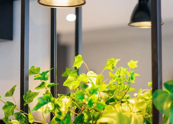 Отель Ibis Centre 3*