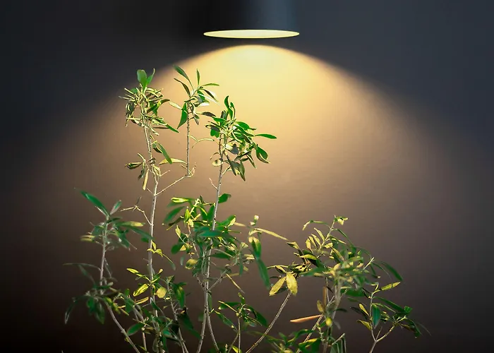 מלון Ibis Centre 3*