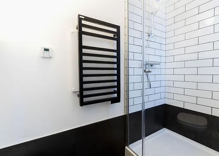 Отель Ibis Centre По