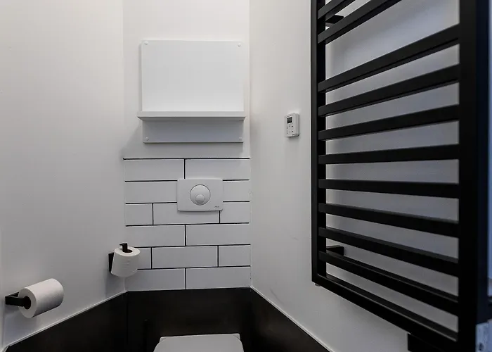 Отель Ibis Centre По